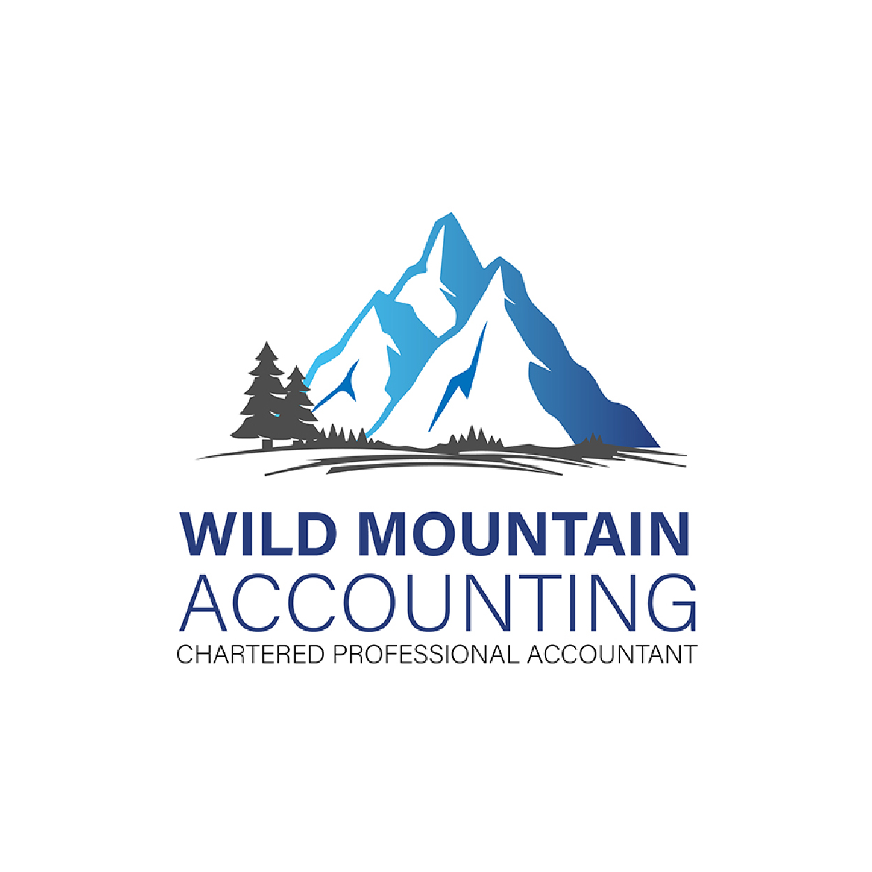 Wild Mountain Accounting